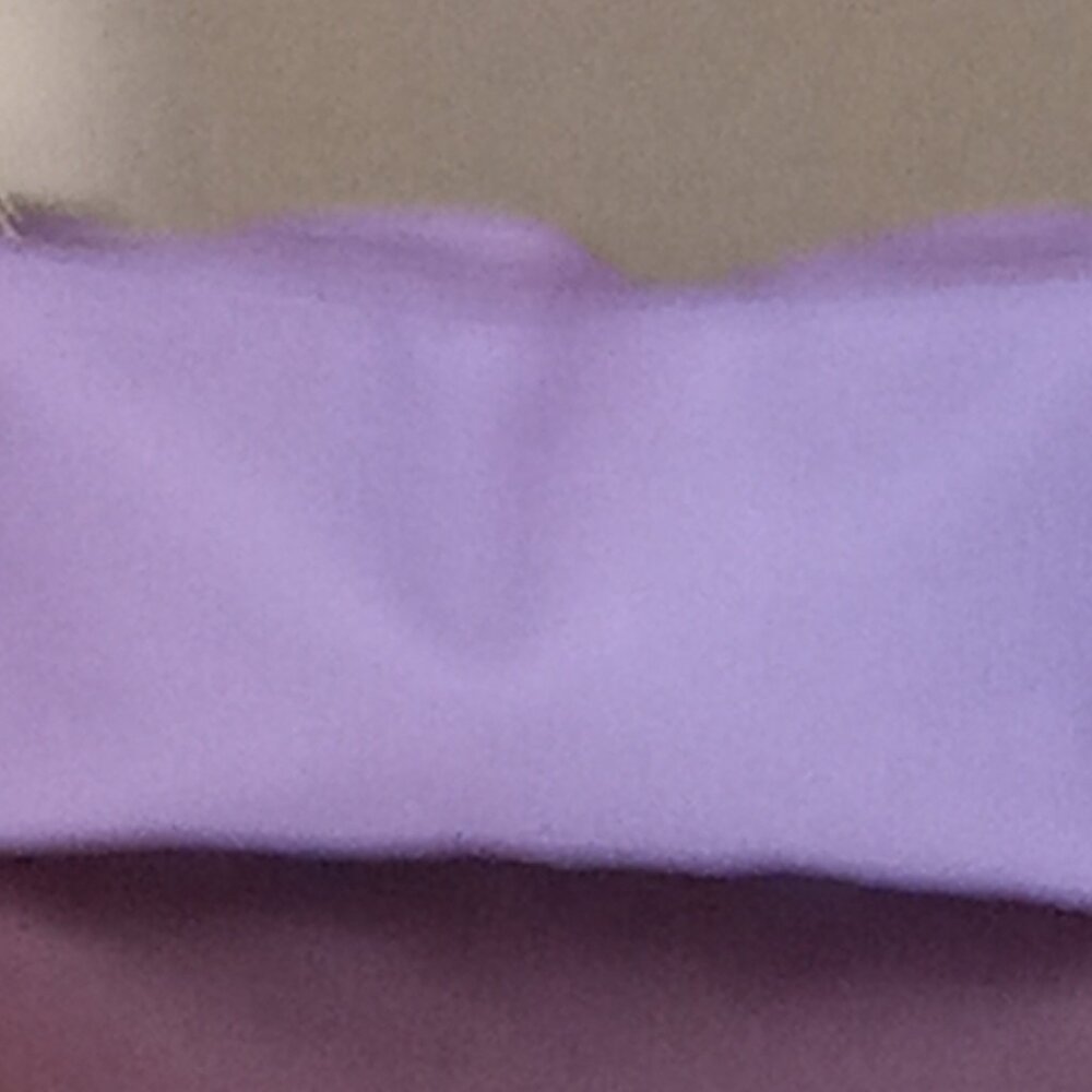 Purple Purse